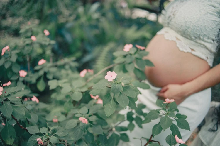 حديقة الزهور في تفسير الأحلام للمرأة الحامل